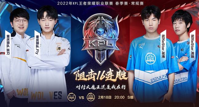 可持续增长